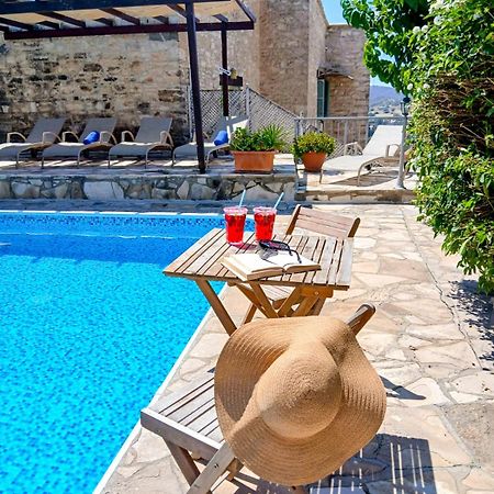 Aphrodite'S Pool Retreat Skarinou Extérieur photo